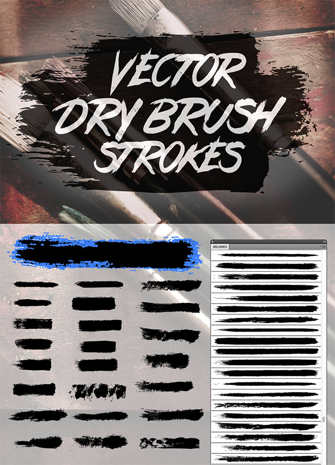 24 Free Vector Dry Brush Stroke Brushes