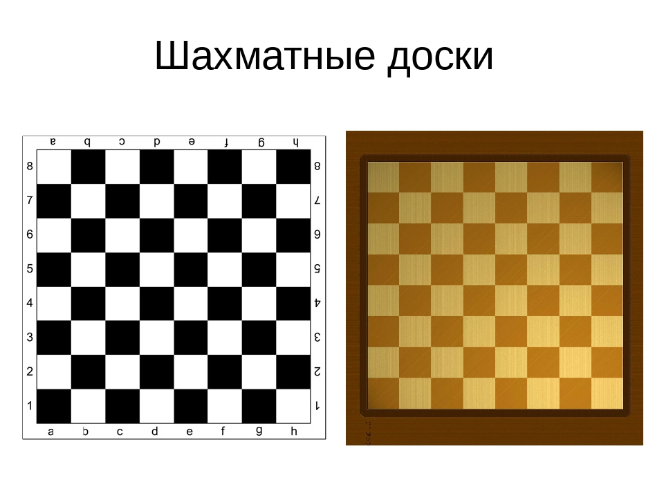 Раскрасить шахматную доску. Шахматная доска. Изображение шахматной доски. Доска шахматная для распечатывания. Шахматное поле для печати.