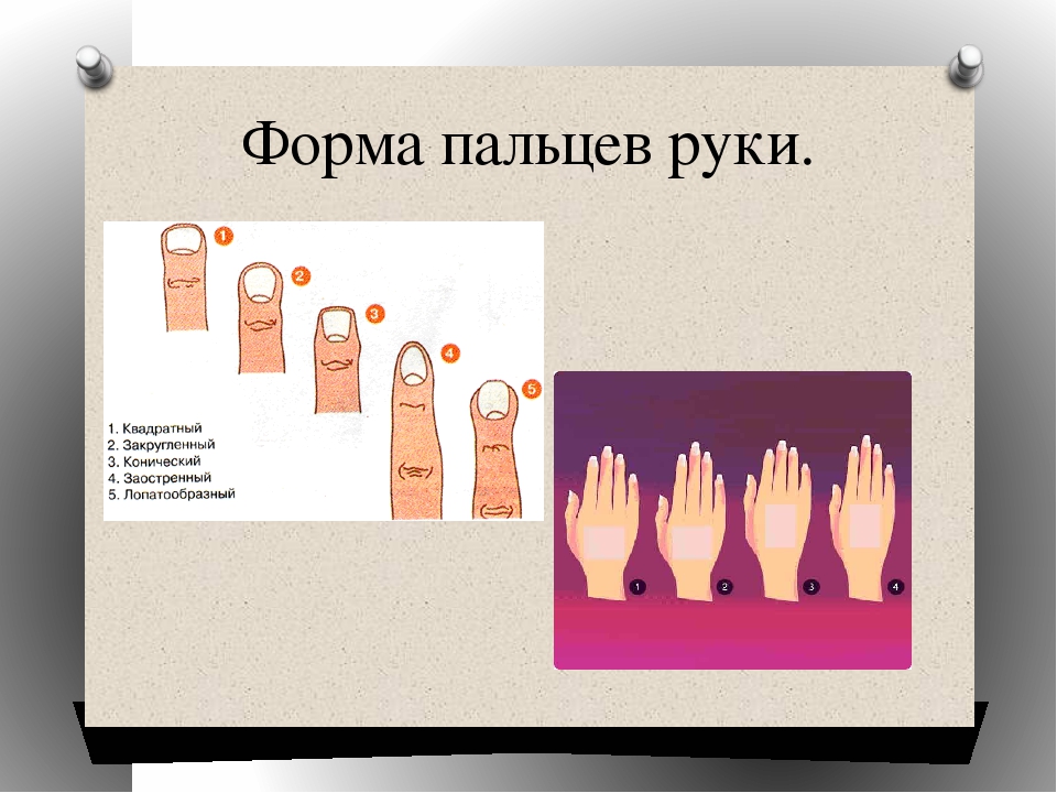 Изменение формы руки. Форма пальцев. Типы пальцев на руках. Коническая форма пальцев.
