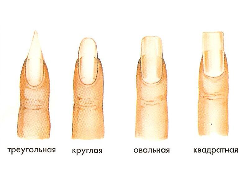 Базовые формы ногтей.