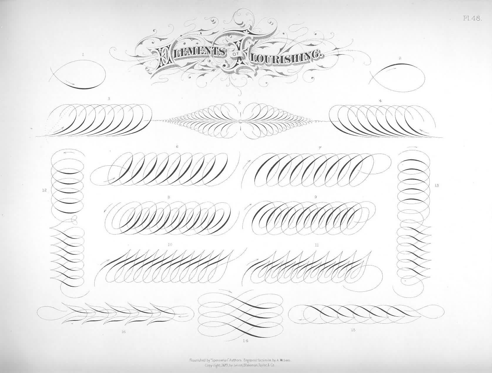 Каллиграфия распечатать. Прописи для каллиграфии Spencerian. Флориш каллиграфия прописи. Спенсериан каллиграфия прописи. Стиль спенсериан в каллиграфии.