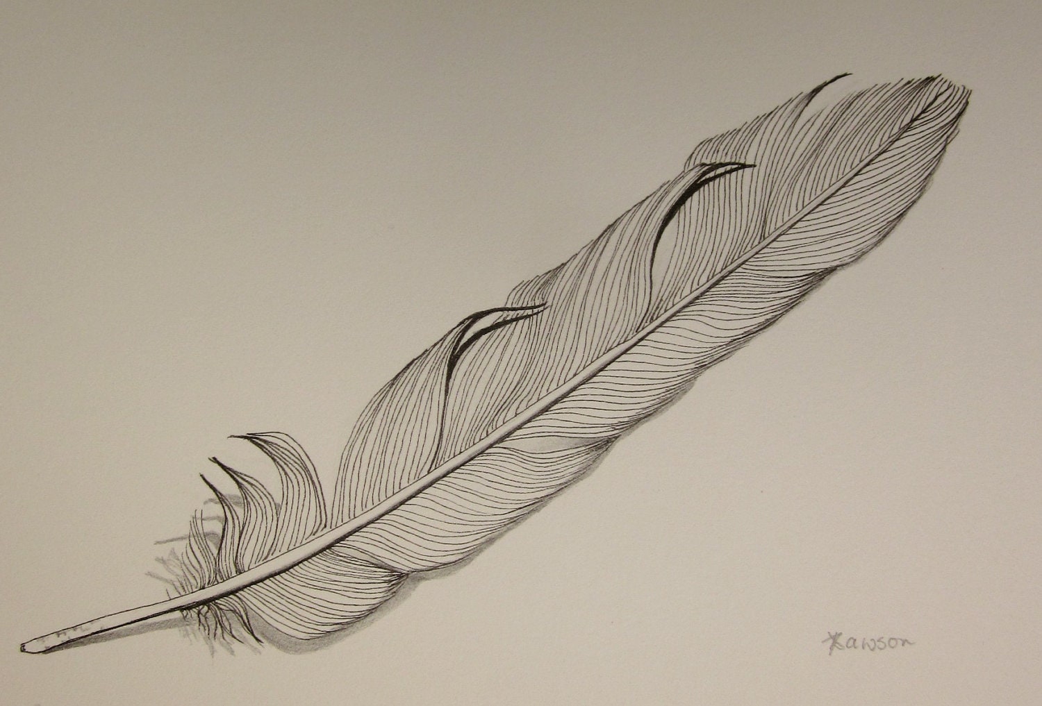 Dibujo de plumas